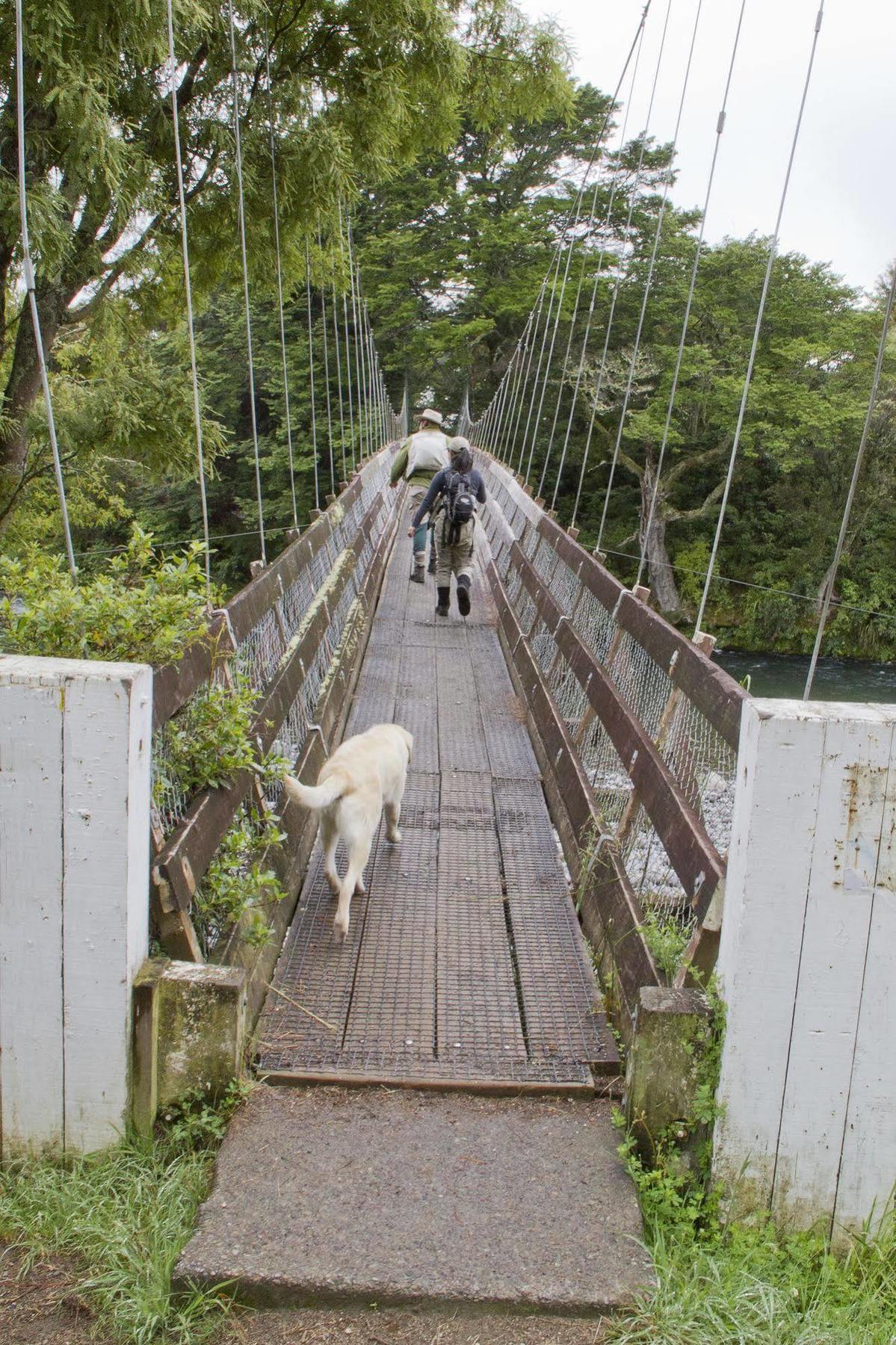 Turangi Trout Lodge ภายนอก รูปภาพ