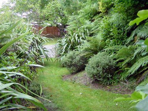 Turangi Trout Lodge ภายนอก รูปภาพ